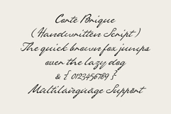 ED Corte Brique Product Image 9