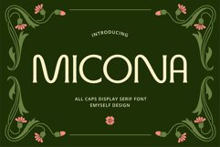 ED Micona - Display Serif Product Image 1