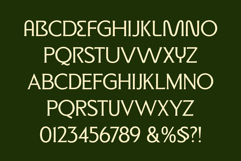 ED Micona - Display Serif Product Image 9