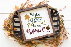 Season to be Thankful SVG Cut File - Fall Farmhouse SVG Product Image 2