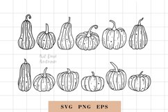 Pumpkin SVG , pumpkin cut file, thanksgiving svg Product Image 1