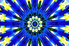 Mandala Flower Background Product Image 1