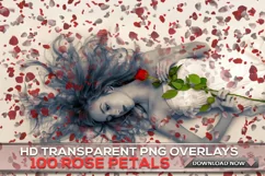 100 ROSE PETALS TRANSPARENT PNG FILES, PHOTOSHOP OVERLAYS Product Image 3