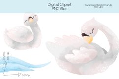 Wild Swan Clipart - PNG Files Product Image 2