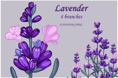 vector Lavender Clipart 4 branches Product Image 1