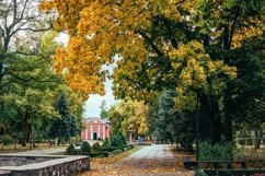 Empty wooden benches and picturesque autumn park Product Image 1