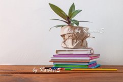 Books stack, pencils with green plant,home e-learning school Product Image 1