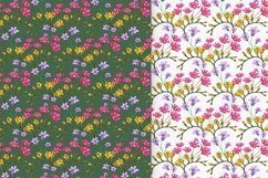 Drawn Flower Patterns and Elements Product Image 5