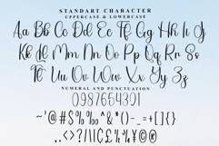 Editable Font Product Image 5