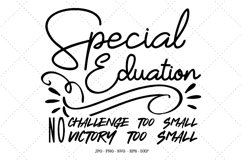 Teacher Svg, Special Needs Shirt, Special Education Product Image 1