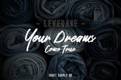 Web Font Stockport Extra & Brush Product Image 9