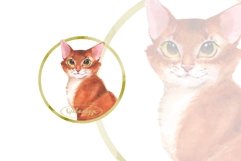 Ginger cat. Watercolor Product Image 1