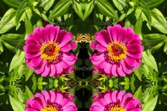 12 abstract Seamless colorful FLOWER patterns pack. Product Image 10