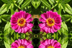 12 abstract Seamless colorful FLOWER patterns pack. Product Image 10