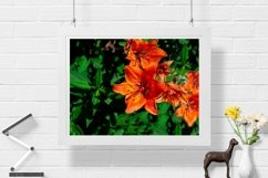 Lilies - Wall Art - Digital Print - Home Decor Product Image 1