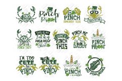 Pinch Proof SVG St Patricks Day in SVG, DXF, PNG, EPS, JPEG Product Image 1