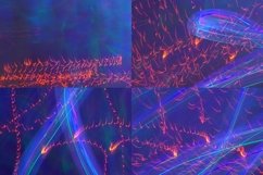 Light in Movement Product Image 3