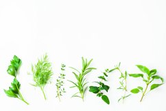 Top view of fresh green leaves Product Image 1