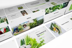 Vegetables Keynote Template Product Image 8