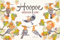 watercolor hoopoe bird clipart Product Image 1