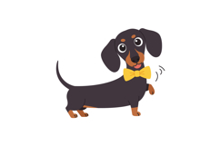Charming black and tan dachshund with a cheerful expression Product Image 1