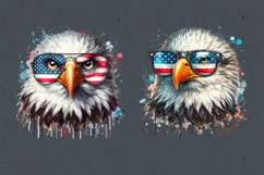 4th of July Eagle sublimation print design PNG Product Image 2