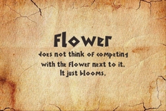 Ehad Product Image 6