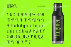 Ehkofa - Modern Serif Font Product Image 7