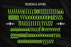 Ehkofa - Modern Serif Font Product Image 13