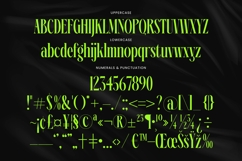 Ehkofa - Modern Serif Font Product Image 18