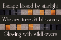 Eighty &amp; Costina - Modern Serif Font Product Image 5