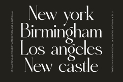 Eighty &amp; Costina - Modern Serif Font Product Image 7