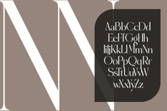 Eighty &amp; Costina - Modern Serif Font Product Image 8