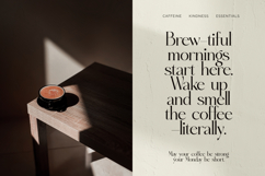 Eighty &amp; Costina - Modern Serif Font Product Image 10