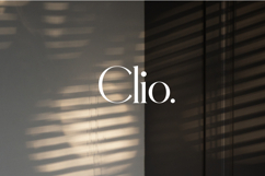 Eighty &amp; Costina - Modern Serif Font Product Image 12