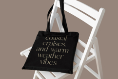 Eighty &amp; Costina - Modern Serif Font Product Image 15