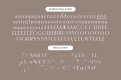 Eighty &amp; Costina - Modern Serif Font Product Image 19