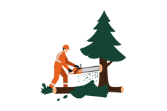 A lumberjack in orange gear using a chainsaw to cut down a g Product Image 1