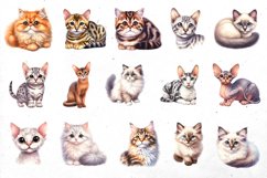 BIG watercolor cat BUNDLE | PNG cliparts Product Image 2