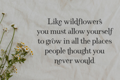 El Capistrano Serif Product Image 2