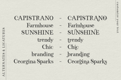 El Capistrano Serif Product Image 4
