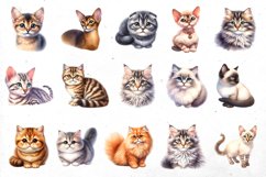 BIG watercolor cat BUNDLE | PNG cliparts Product Image 3