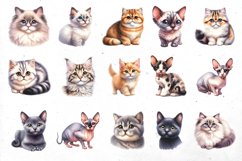 BIG watercolor cat BUNDLE | PNG cliparts Product Image 5