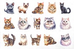 BIG watercolor cat BUNDLE | PNG cliparts Product Image 6