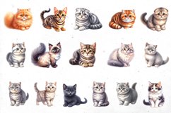 BIG watercolor cat BUNDLE | PNG cliparts Product Image 7