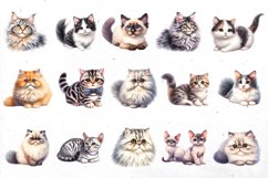 BIG watercolor cat BUNDLE | PNG cliparts Product Image 8