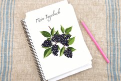 Watercolor Elderberry Clipart Bundle Product Image 4