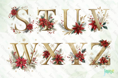 Elegant Christmas Alphabet Sublimation Bundle Product Image 2