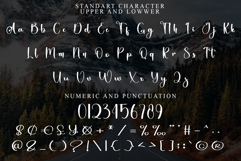 Elegant Christmas Product Image 5