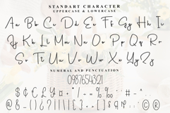 Elegant Document Product Image 7